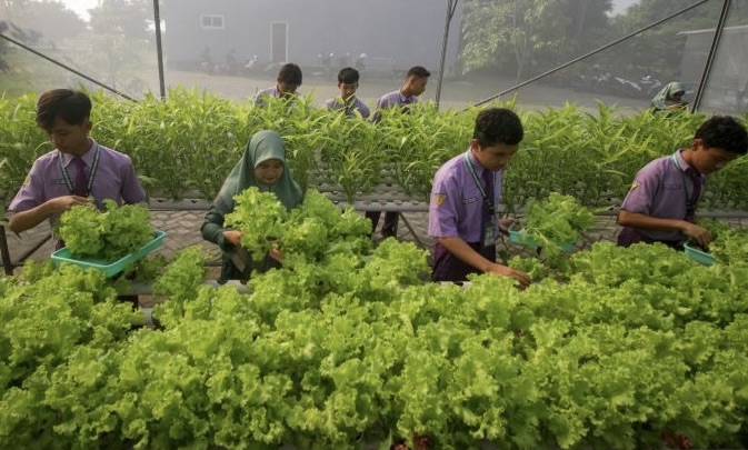 Pesantren Didorong Berkontribusi Dalam Ketahanan Pangan dan Energi